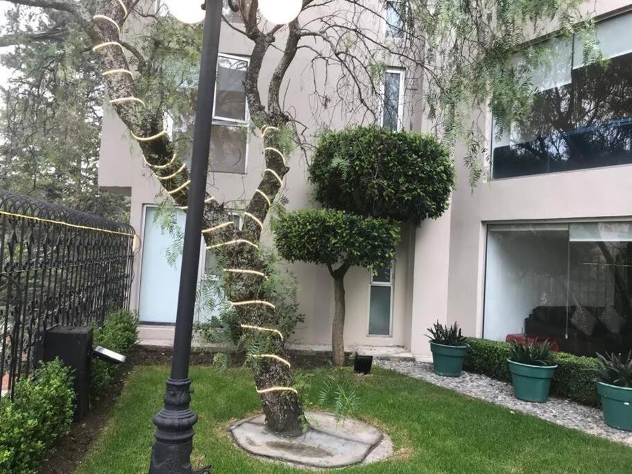 Hermoso Departamento En Bosques De Las Lomas Dos Habitaciones Mexico By Eksteriør billede