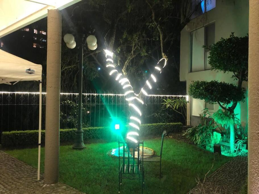 Hermoso Departamento En Bosques De Las Lomas Dos Habitaciones Mexico By Eksteriør billede
